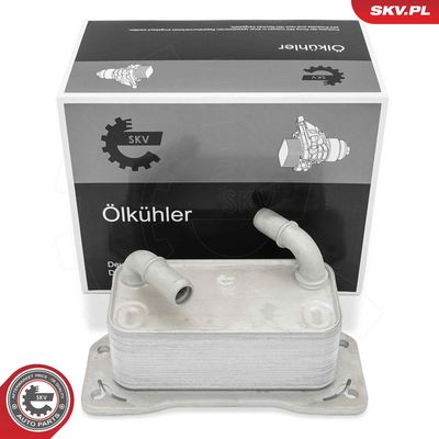 RADIATOR ULEI ULEI MOTOR ESEN SKV 31SKV341 1