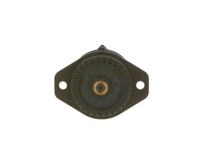 BOSCH Kraftstoffpumpe