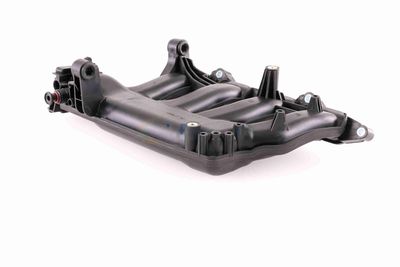 MODUL CONDUCTA ADMISIE VAICO V301074 7