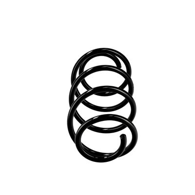 ARC SPIRAL EIBACH R10521 13