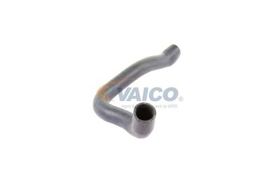 FURTUN RADIATOR VAICO V201749 49