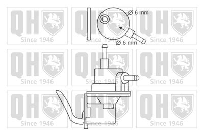 POMPA COMBUSTIBIL QUINTON HAZELL QFP157 1