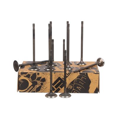 SET SUPAPE SUPAPă ADMISIE/EVACUARE ET ENGINETEAM VS0024 5