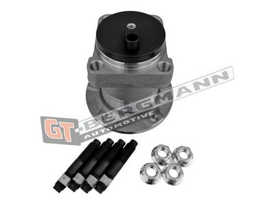 GT-BERGMANN Automotive Rato guolio komplektas