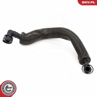 Žarna, karterio alsuoklis