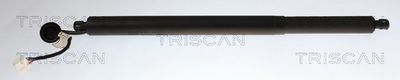 Sprężyna gazowa, pokrywa bagażnika TRISCAN 871014301