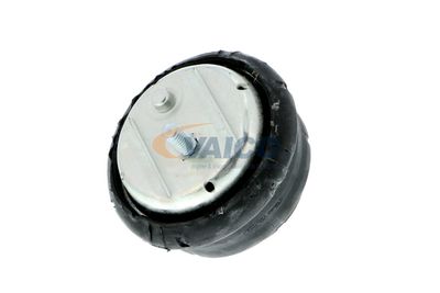 SUPORT MOTOR VAICO V2010261 19