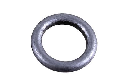Dichtring