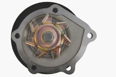 POMPă DE APă RăCIRE MOTOR MAHLE CP97000P 2