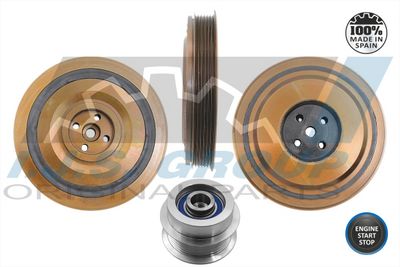 FULIE CUREA ARBORE COTIT IJS GROUP 171335KIT