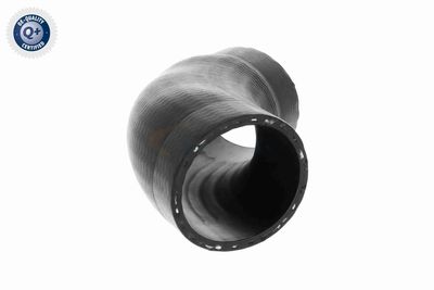 LADELUFTSCHLAUCH VAICO V201614 7