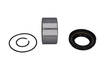 Kavo Parts Rato guolio komplektas