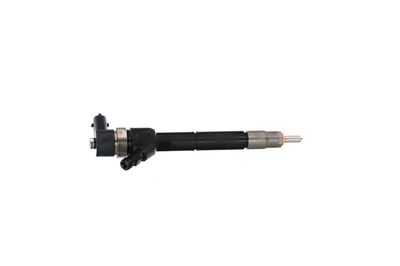 INJECTOR REMANTE 002003001738R 36
