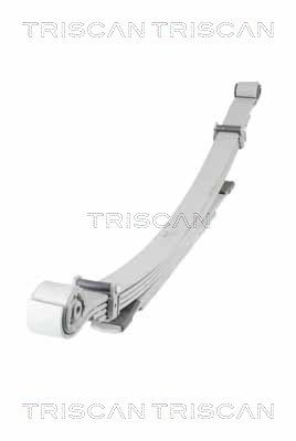 TRISCAN Federnpaket