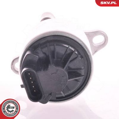 AGR-Ventil ESEN SKV 14SKV002