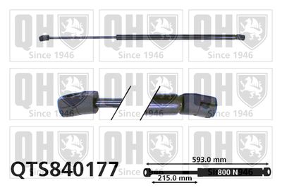QUINTON HAZELL QTS840177 Амортизатор багажника и капота  для FORD GALAXY (Форд Галаx)