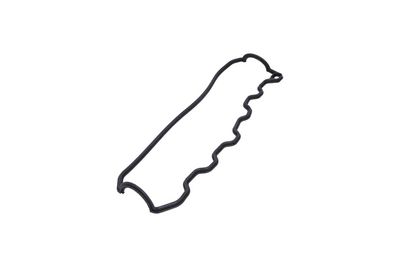 GARNITURA CAPAC SUPAPE