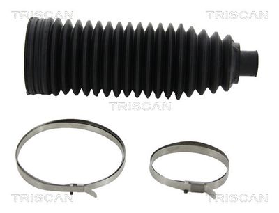 TRISCAN 8500 11010 Пыльник рулевой рейки  для BMW 4 (Бмв 4)