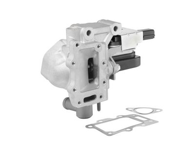 AGR-VENTIL BorgWarner 712011R 1