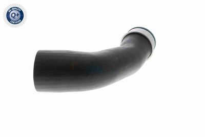 LADELUFTSCHLAUCH VAICO V102834 4