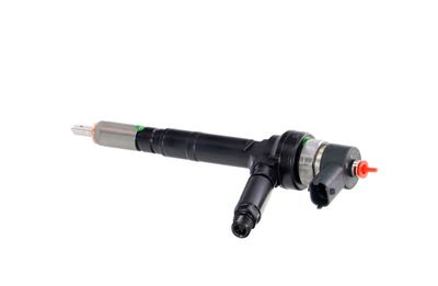 INJECTOR REMANTE 002003001094R 17
