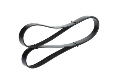 KEILRIPPENRIEMEN BOSCH 1987946258 19