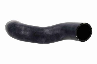 FURTUN EAR SUPRAALIMENTARE ACKOJA A370122 3