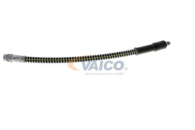 FURTUN FRANA VAICO V464113 33