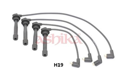 Uždegimo laido komplektas