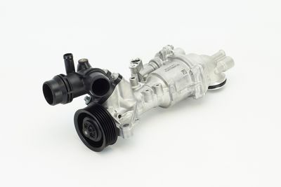 CONTINENTAL CTAM Wasserpumpe, Motorkühlung