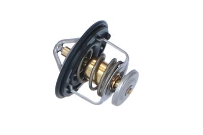 TERMOSTAT LICHID RACIRE NRF 725143 20