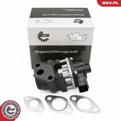 AGR-Ventil SKV 14SKV260