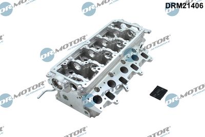 Dr.Motor Automotive Cilindro galvutė
