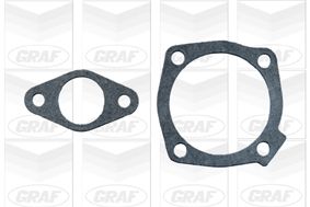 POMPă DE APă RăCIRE MOTOR GRAF PA298 1