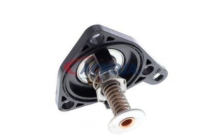 TERMOSTAT LICHID RACIRE ACKOJA A26990012 45
