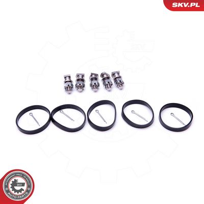 Remonto komplektas, įsiurbimo kolektoriaus modulis