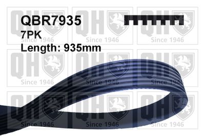QUINTON HAZELL QBR7935 Ремень генератора  для MINI (Мини)