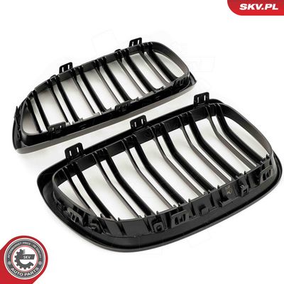 GRILA RADIATOR ESEN SKV 66SKV109 3