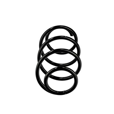 ARC SPIRAL EIBACH R10425 13