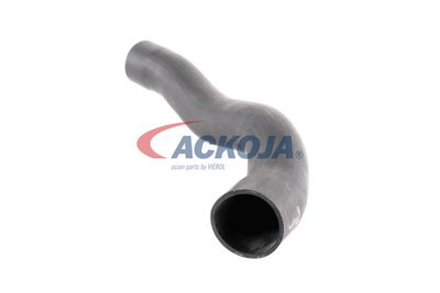 FURTUN EAR SUPRAALIMENTARE ACKOJA A379600 20
