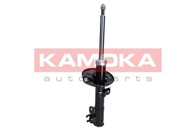 Shock Absorber 2000246