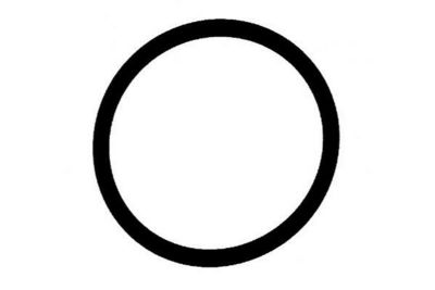 DICHTUNG ANSAUGKRüMMER