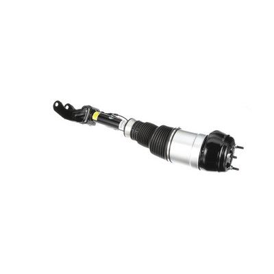 BRAT ARC PNEUMATIC Arnott AS3061 42