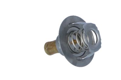 TERMOSTAT LICHID RACIRE NRF 725141 29