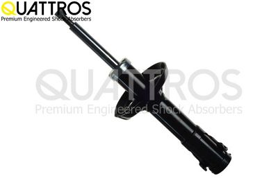 AMORTIZOR DAVID VASCO FS4810 1