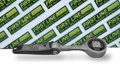 окачване, двигател FIRST LINE FEM3875