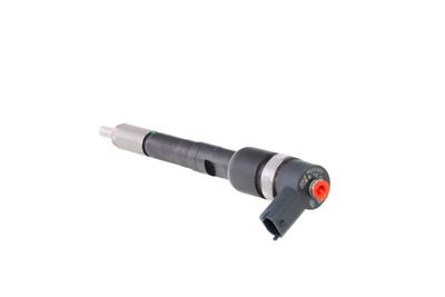 INJECTOR REMANTE 002003001711R 19