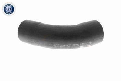 FURTUN EAR SUPRAALIMENTARE VAICO V201622 5