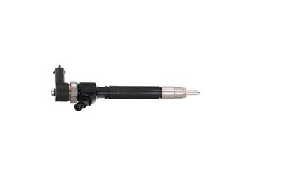 INJECTOR REMANTE 002003001702R 37