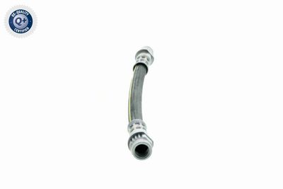 FURTUN FRANA VAICO V220625 7